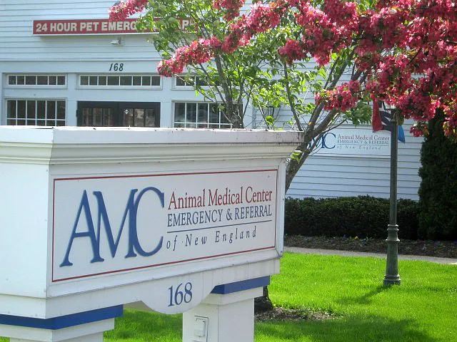 Animal Medical Center of New England 10