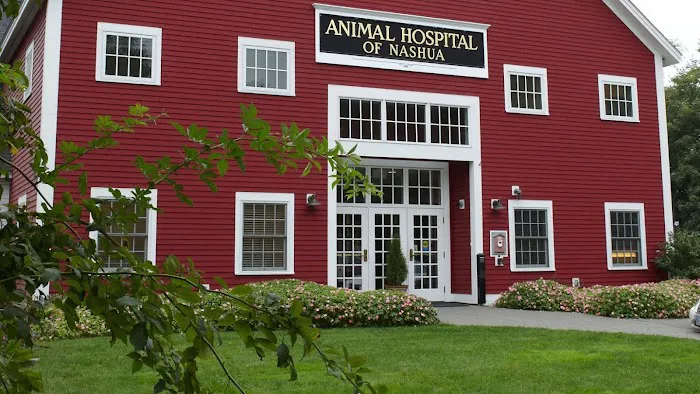 Animal Hospital of Nashua 1