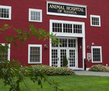 Animal Hospital of Nashua