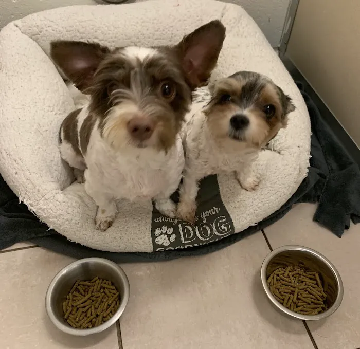 Animal Hospital of Nashua 8