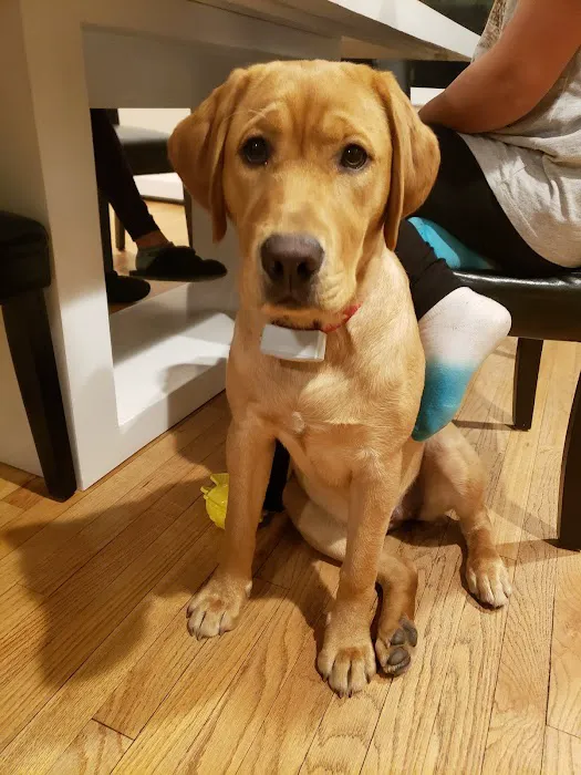 Animal Hospital of Nashua 5