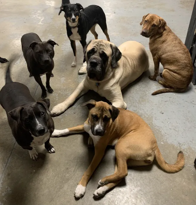 Animal Hospital of Nashua 9