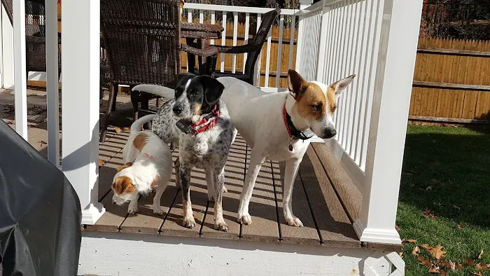 Animal Hospital of Nashua 7