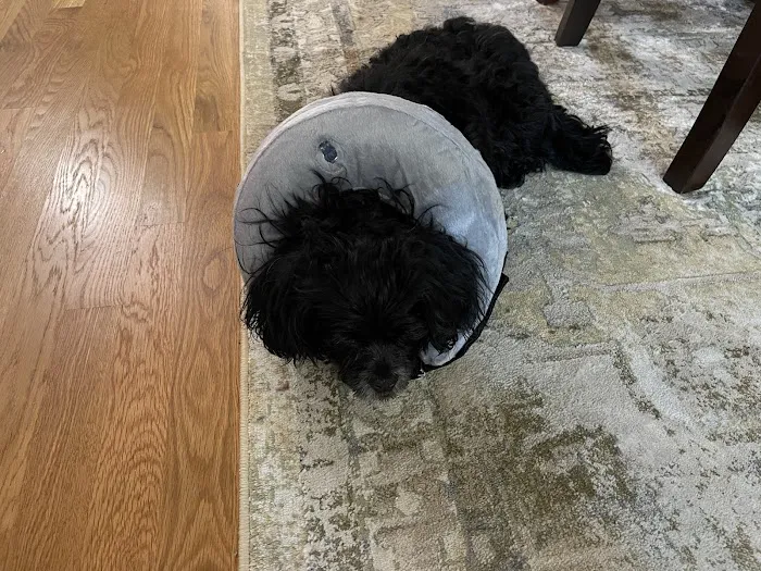 Countryside Animal Hospital 7