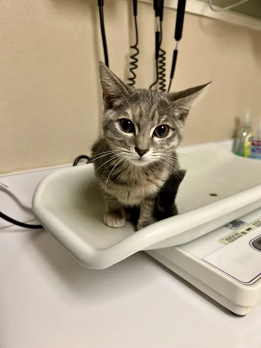 Countryside Animal Hospital 6