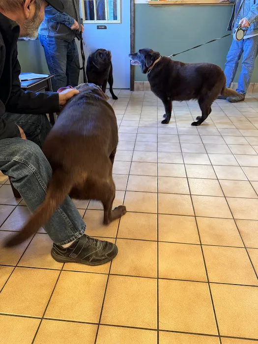 Countryside Animal Hospital 8