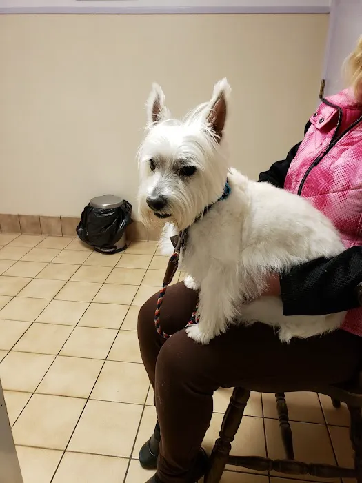 Countryside Animal Hospital 9