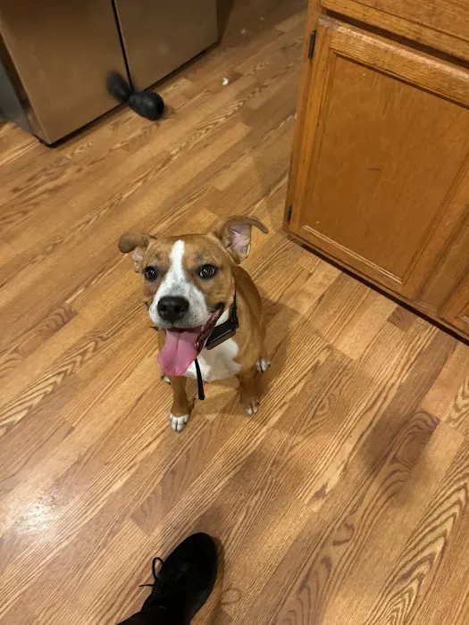 Nashua Pet Care Clinic 10