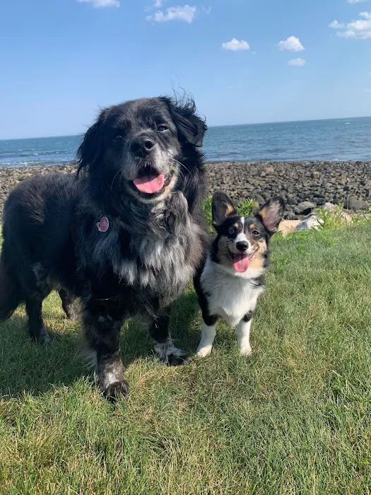 Nashua Pet Care Clinic 9