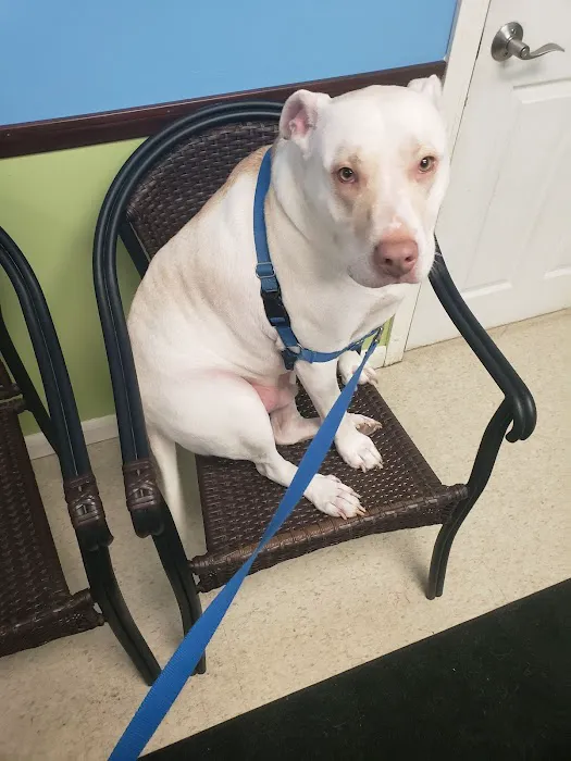 Nashua Pet Care Clinic 5