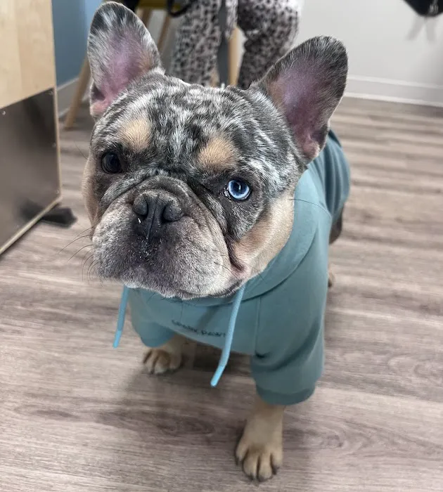 Veterinary Urgent Care - Nashua 7