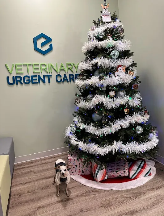Veterinary Urgent Care - Nashua 6