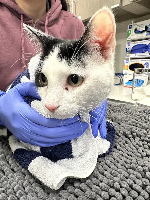 Veterinary Urgent Care - Nashua 4