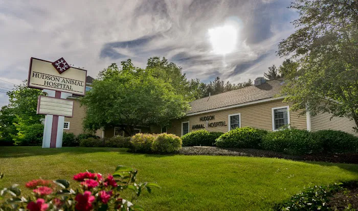 Hudson Animal Hospital, A Thrive Pet Healthcare Partner 10