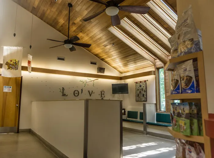 Hudson Animal Hospital, A Thrive Pet Healthcare Partner 3