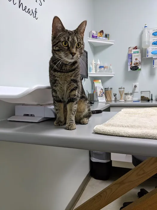 Fisherville Animal Hospital 8