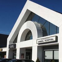 Fisherville Animal Hospital ico