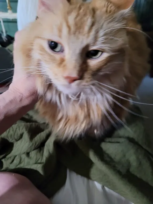 VCA Riverside Veterinary Hospital 2