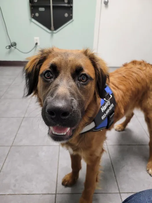 VCA Riverside Veterinary Hospital 7