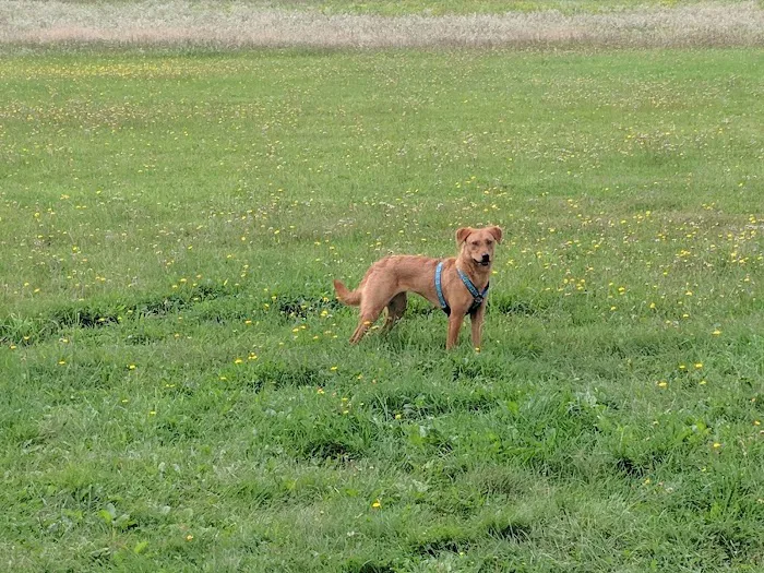 Cilley Veterinary Clinic 10