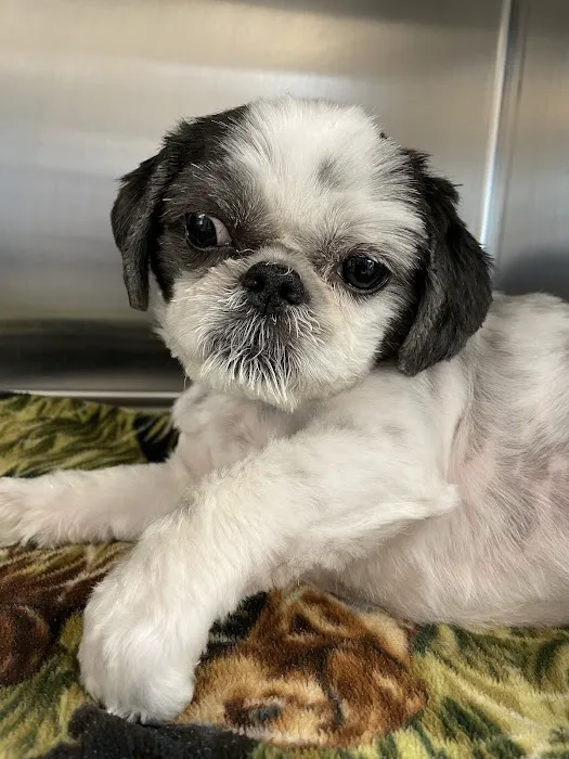 Cilley Veterinary Clinic 9