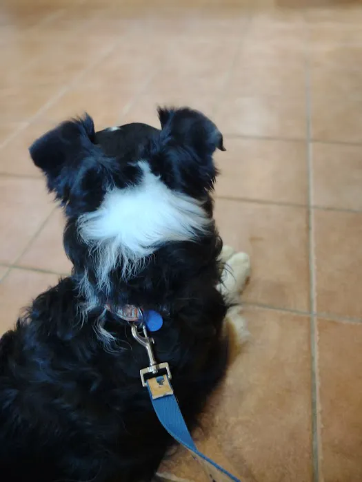 Blackwater Veterinary Services 5