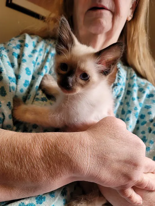 Meezerpaws Cattery 8