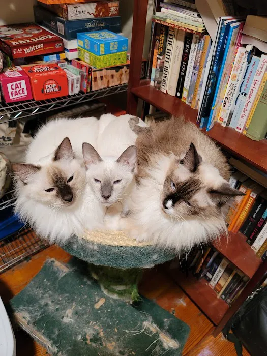 Meezerpaws Cattery 7