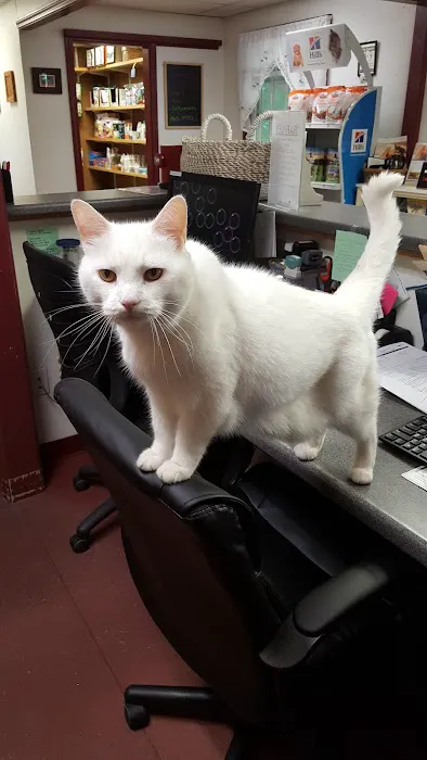 Pleasant Lake Veterinary Hospital 4
