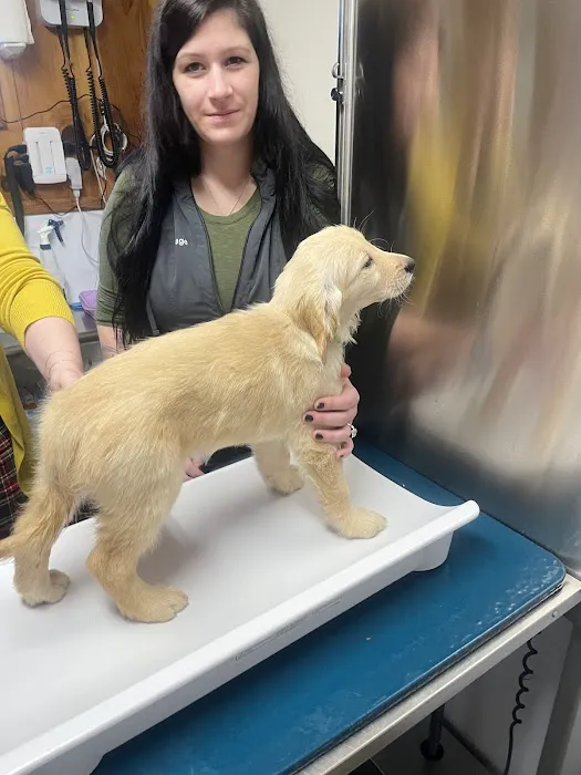 Wendell Veterinary Clinic 2