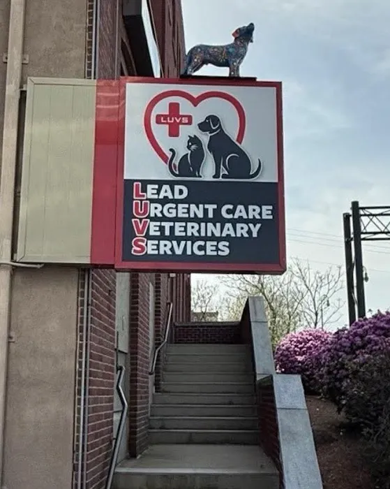 Lead Urgent Care Veterinary Services 5