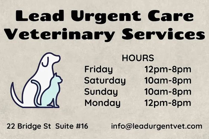 Lead Urgent Care Veterinary Services 9