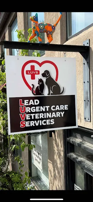 Lead Urgent Care Veterinary Services 2
