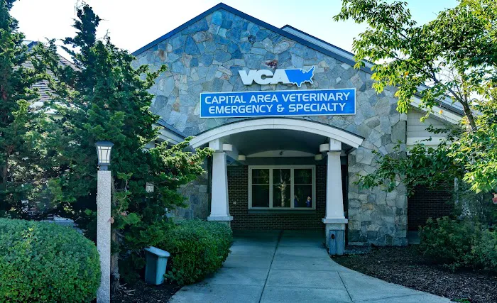 VCA Capital Area Veterinary Emergency and Specialty 10