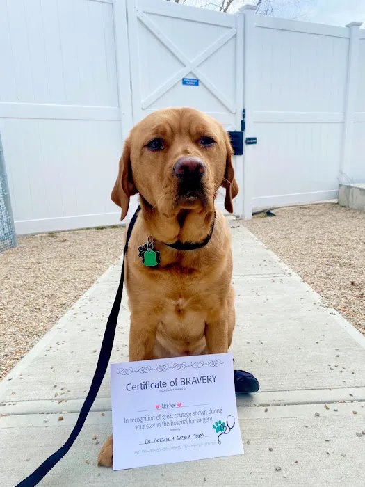 VCA Capital Area Veterinary Emergency and Specialty 9