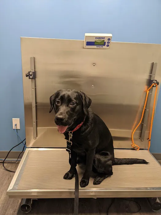Northside Animal Hospital 2