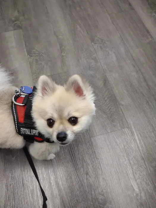 Northside Animal Hospital 1