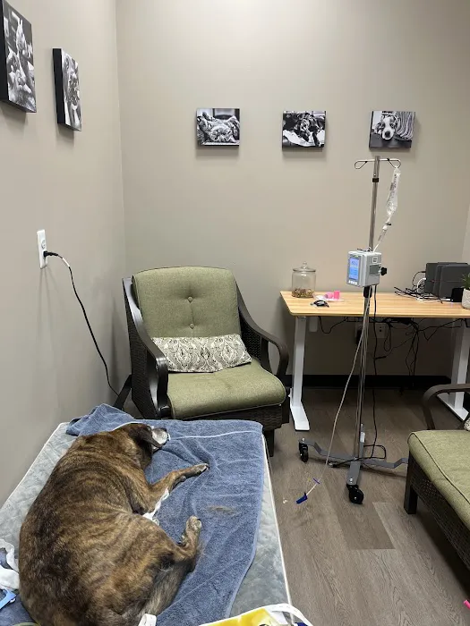 Best Friends Animal Hospital 2