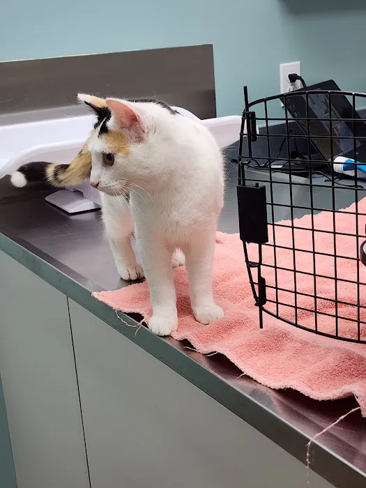 Manchester Animal Hospital 10