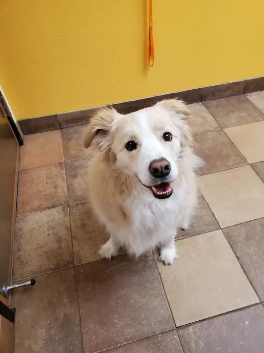 Banfield Pet Hospital 1