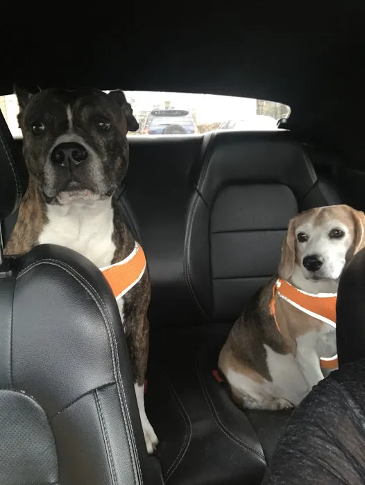 Banfield Pet Hospital 2