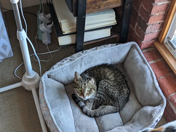 Veterinary Emergency Center of Manchester 7