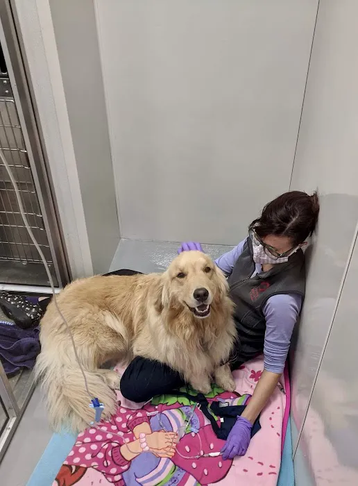 Veterinary Emergency Center of Manchester 6
