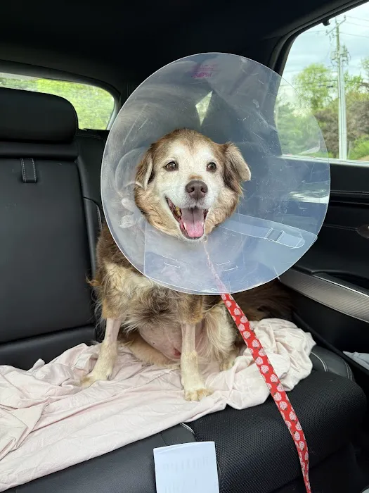Veterinary Emergency Center of Manchester 4