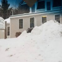 Pembroke Animal Hospital: Luksic Rachel DVM ico