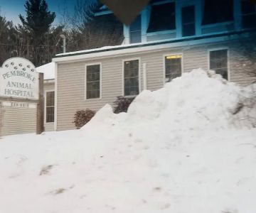 Pembroke Animal Hospital: Luksic Rachel DVM