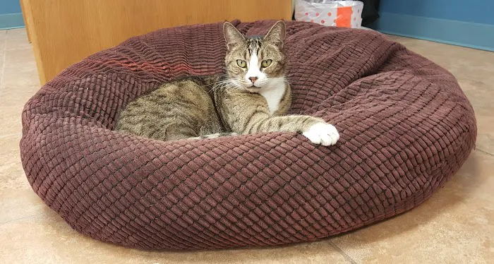 Pembroke Animal Hospital 2