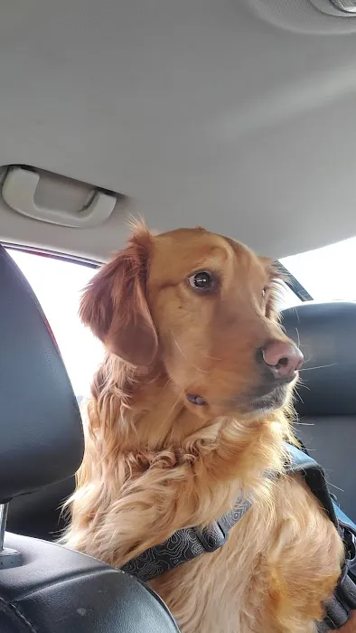 Pembroke Animal Hospital 4