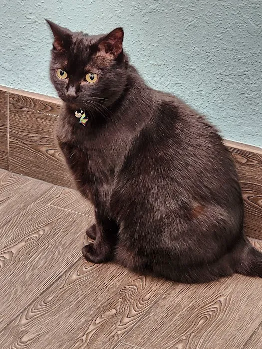 Banfield Pet Hospital 7