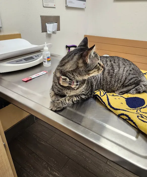 Banfield Pet Hospital 2